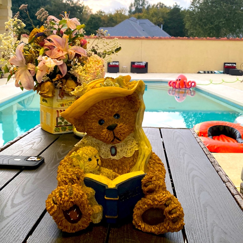 Vintage bear 🐻 ncnhbox22